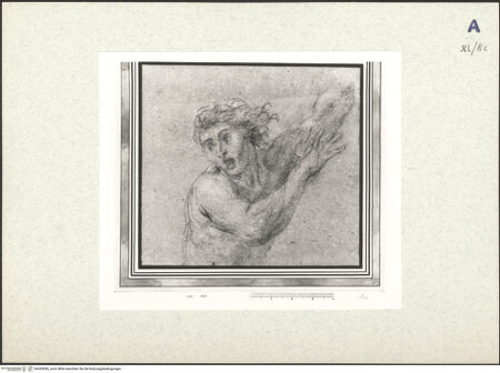 Vorderseite von bh439096_recto