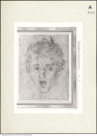 Vorderseite von bh439100_recto