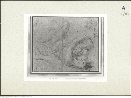 Vorderseite von bh439101_recto