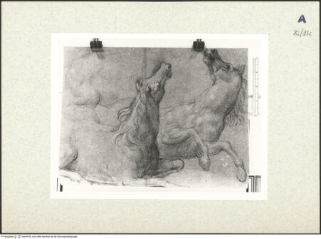 Vorderseite von bh439102_recto