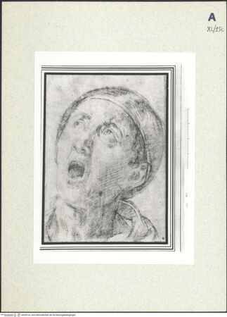 Vorderseite von bh439103_recto