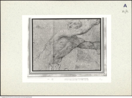 Vorderseite von bh439104_recto