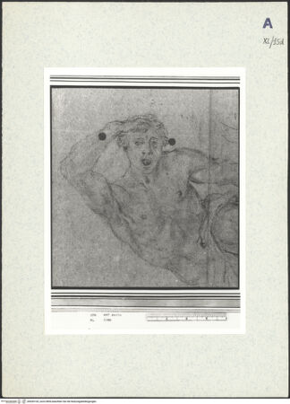 Vorderseite von bh439105_recto