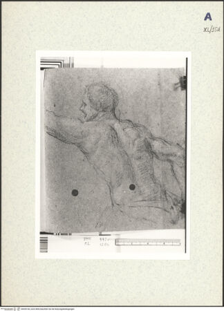 Vorderseite von bh439106_recto