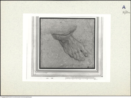 Vorderseite von bh439107_recto