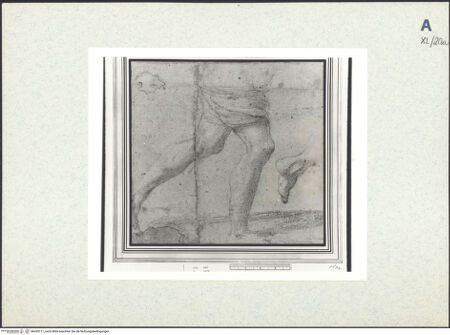 Vorderseite von bh439111_recto