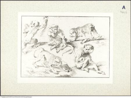 Vorderseite von bh439127_recto