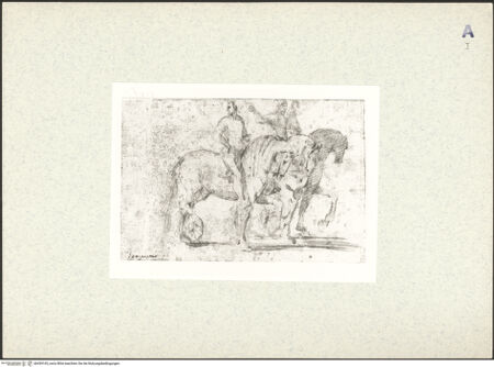 Vorderseite von bh439165_recto