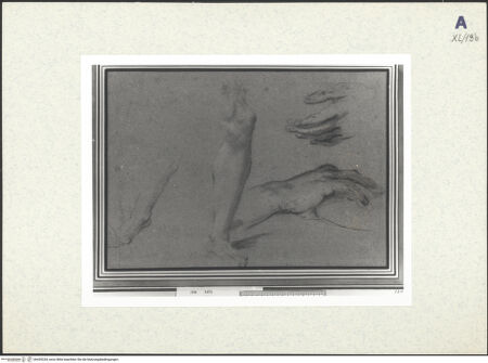 Vorderseite von bh439334_recto