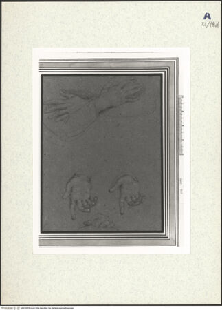 Vorderseite von bh439335_recto