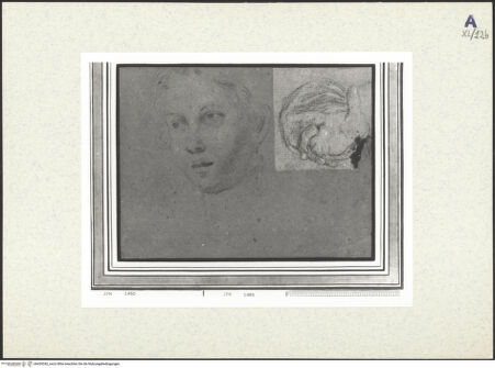 Vorderseite von bh439342_recto