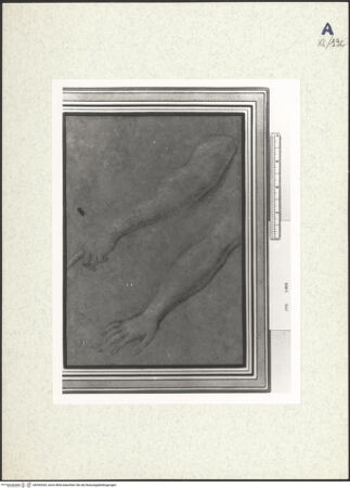 Vorderseite von bh439343_recto