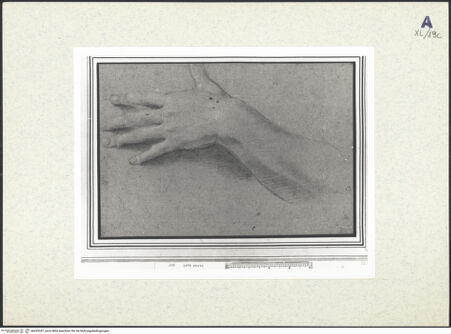 Vorderseite von bh439347_recto