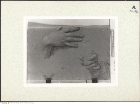 Vorderseite von bh439348_recto