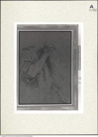 Vorderseite von bh439350_recto