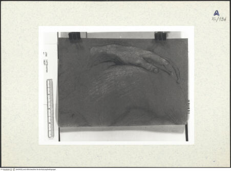 Vorderseite von bh439353_recto