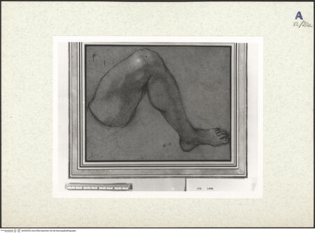 Vorderseite von bh439355_recto