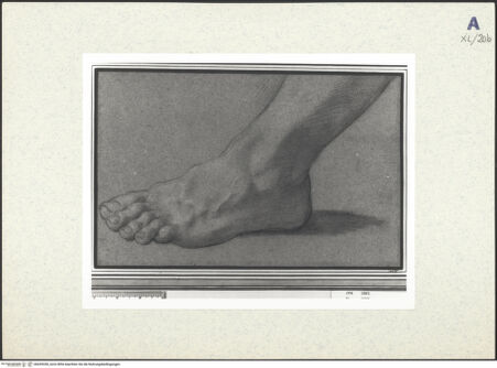 Vorderseite von bh439358_recto