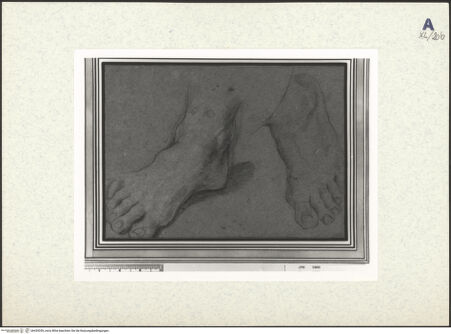 Vorderseite von bh439359_recto