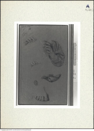 Vorderseite von bh439361_recto