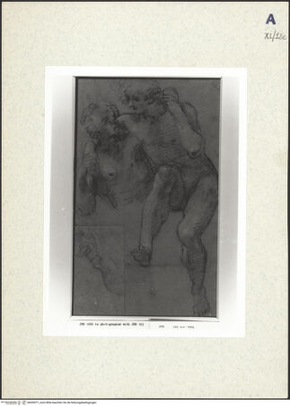 Vorderseite von bh439371_recto