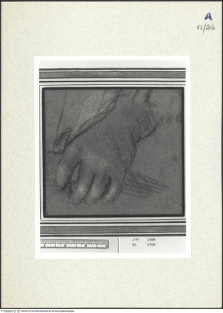 Vorderseite von bh439373_recto