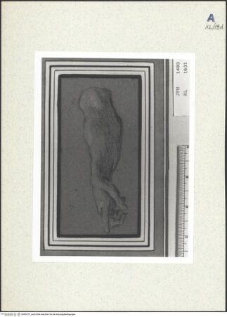 Vorderseite von bh439375_recto