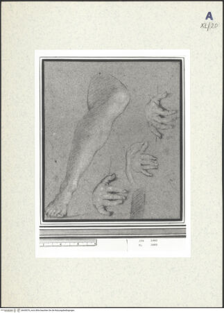 Vorderseite von bh439376_recto