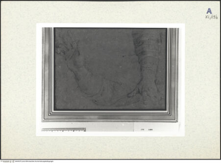 Vorderseite von bh439379_recto