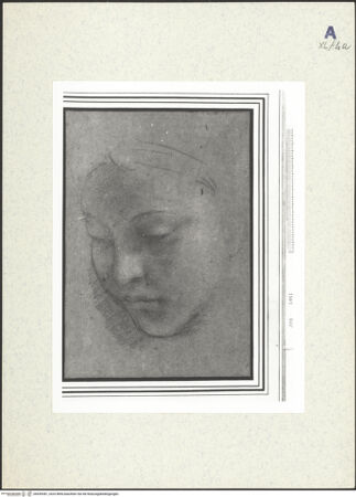 Vorderseite von bh439381_recto