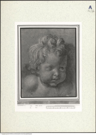 Vorderseite von bh439382_recto