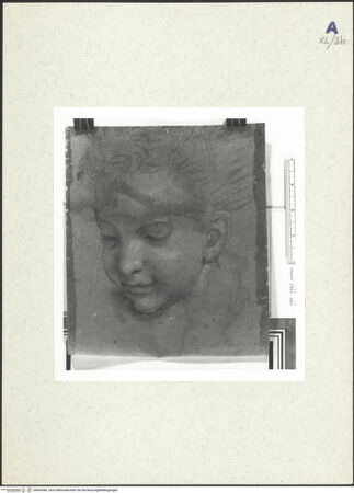 Vorderseite von bh439383_recto