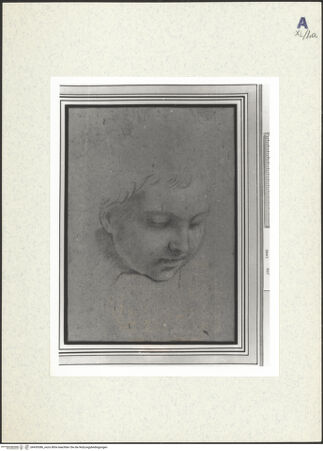 Vorderseite von bh439386_recto