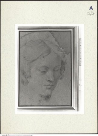 Vorderseite von bh439387_recto