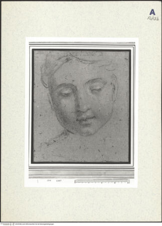 Vorderseite von bh439388_recto