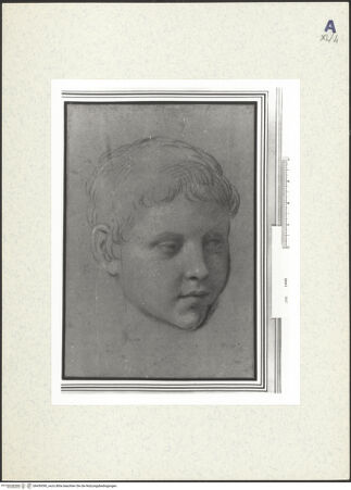 Vorderseite von bh439390_recto