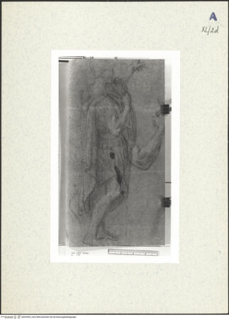 Vorderseite von bh439392_recto