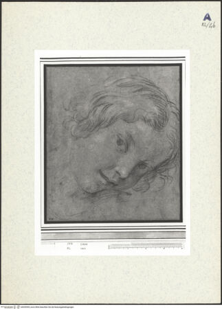 Vorderseite von bh439395_recto