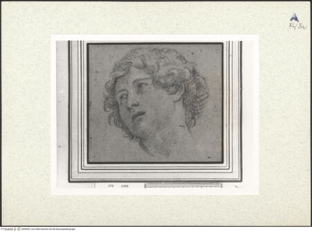 Vorderseite von bh439401_recto