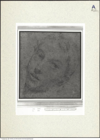 Vorderseite von bh439402_recto