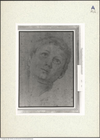 Vorderseite von bh439403_recto