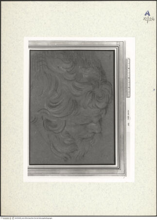 Vorderseite von bh439408_recto