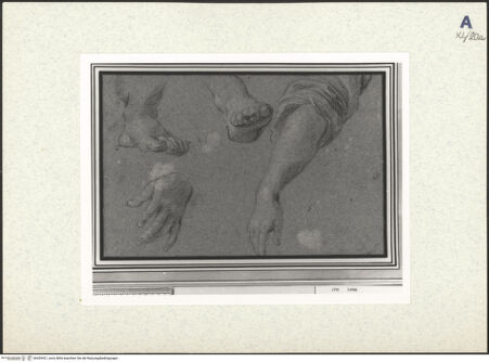 Vorderseite von bh439421_recto