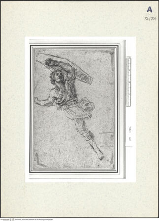 Vorderseite von bh439428_recto