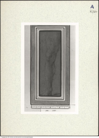 Vorderseite von bh439430_recto