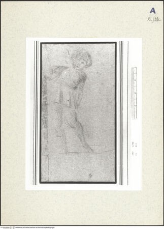 Vorderseite von bh439436_recto