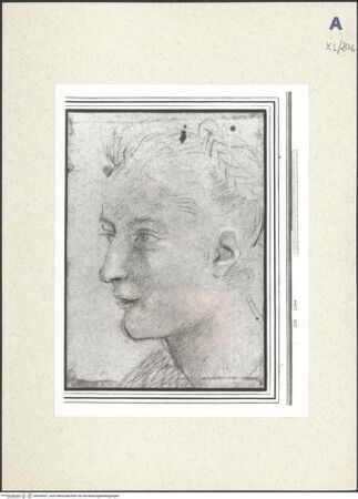 Vorderseite von bh439437_recto