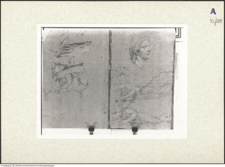 Vorderseite von bh439445_recto