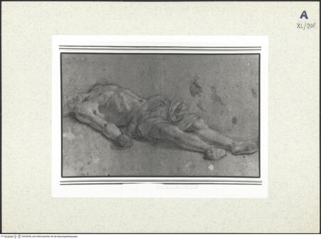 Vorderseite von bh439446_recto