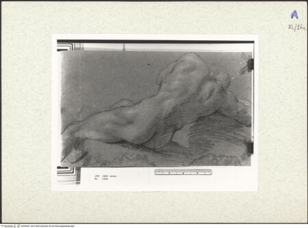 Vorderseite von bh439447_recto